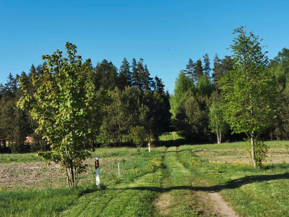 Litauen, Utena, Gehöft, Dorf Paisetė in Frankfurt (Oder)