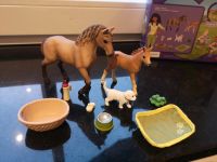 Schleich Horse Club 42432 Sarah's Tierbaby-Pflege Nordrhein-Westfalen - Niederkrüchten Vorschau