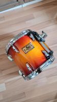 Pearl Masters Studio BRX 10" Tom Birch Shell Vintage Sunburst Wandsbek - Hamburg Bramfeld Vorschau