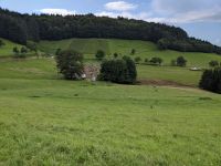 Garten Raum Waldkirch gesucht Baden-Württemberg - Waldkirch Vorschau