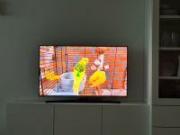 Samsung Fernsehen München - Ludwigsvorstadt-Isarvorstadt Vorschau