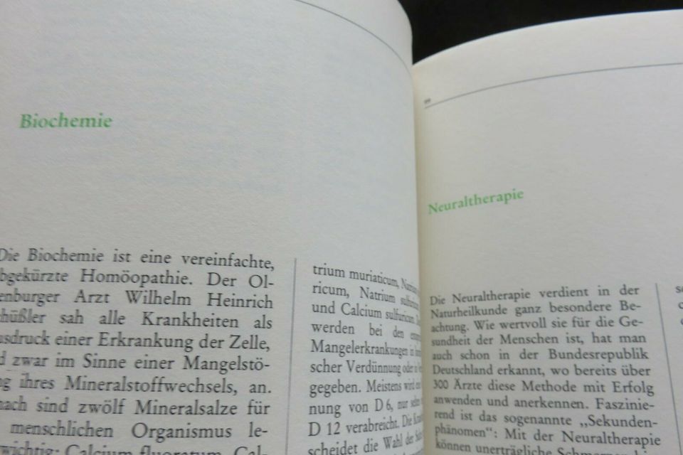 Großes Buch Naturheilkunde von A-Z  Helmut Löffler in Eging am See