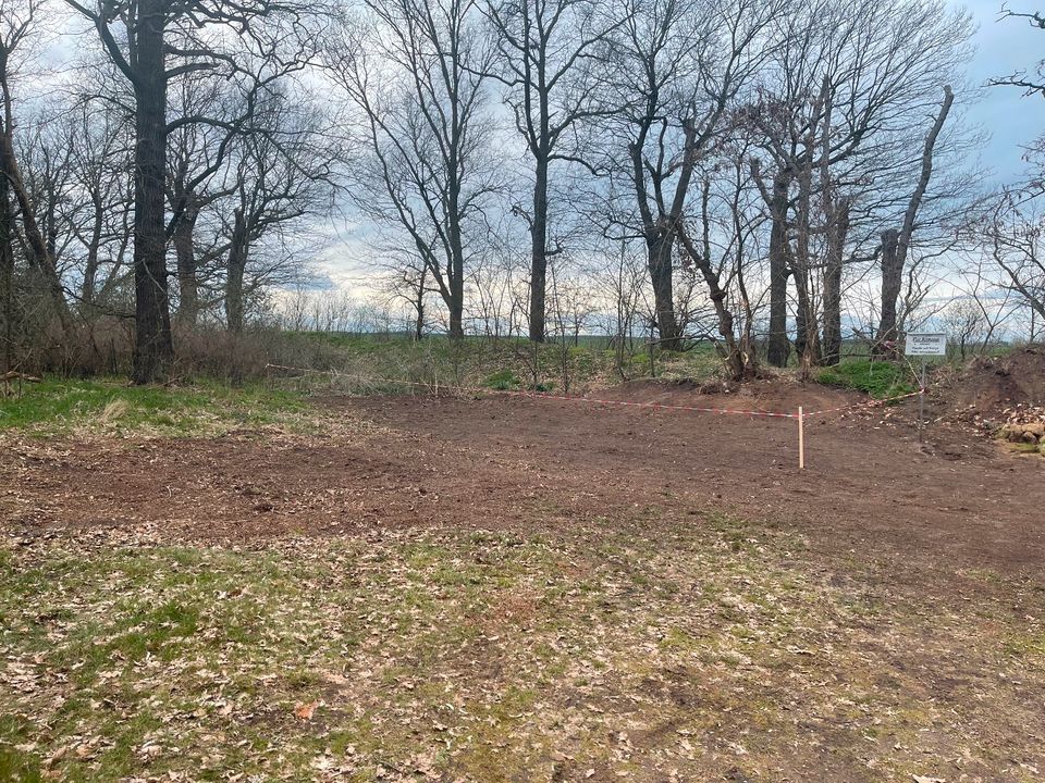 Baggerarbeiten,Landschaftsbau,Aushub,Dienstleistungen, in Beilrode