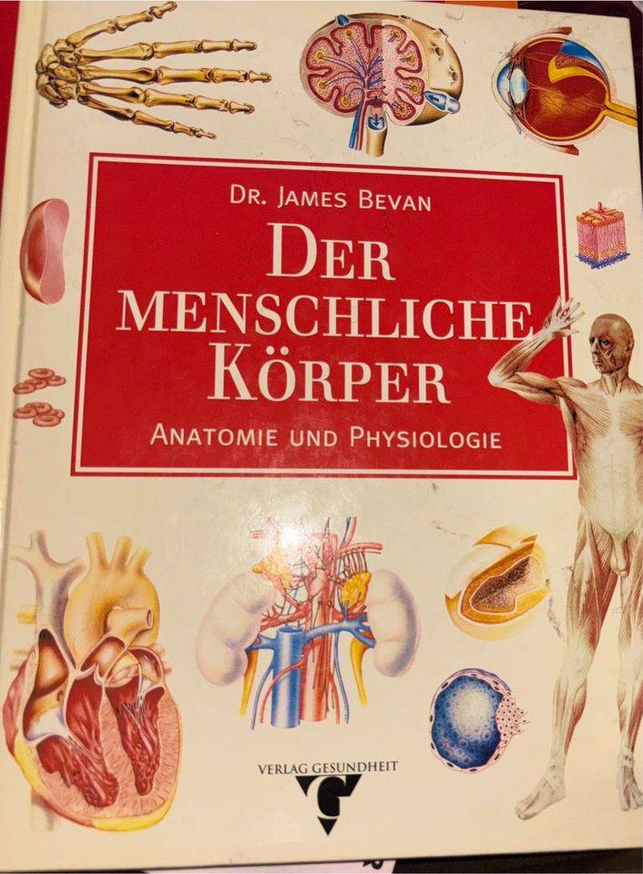 Der Menschliche Körper Anatomie&  Physiologie in Berlin