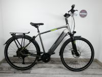 Raleigh Stanton 9, Neodrives Z20, 500Wh Akku NEU Niedersachsen - Neuenhaus Vorschau