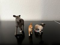 Schleich Tiere Esel, Schaf, Hund, Delfin Dresden - Innere Altstadt Vorschau