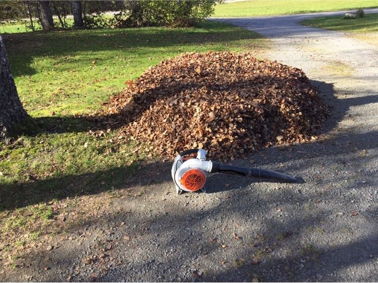 ✅ Laub Beseitigung, Gartenhilfe in Zwiesel