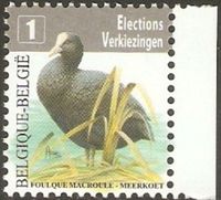 Belgien 4088 ** Tiere Fauna Vögel Wasservögel - Blässhuhn Rallen Nordrhein-Westfalen - Kamen Vorschau