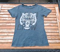 H&M Jungen Tshirt Gr. 134/140 Tiger Print Thüringen - St Gangloff Vorschau