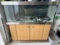 Aquarium mit unterschrank Hannover - Bothfeld-Vahrenheide Vorschau