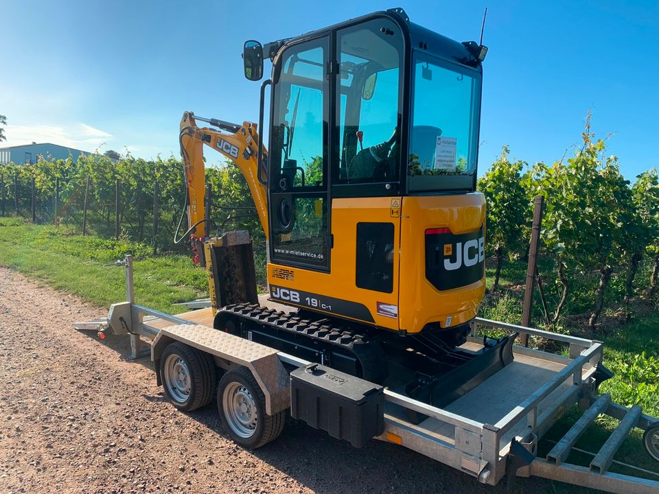 Minibagger mieten / JCB 19C-1 / 2 to Bagger mieten in Minfeld