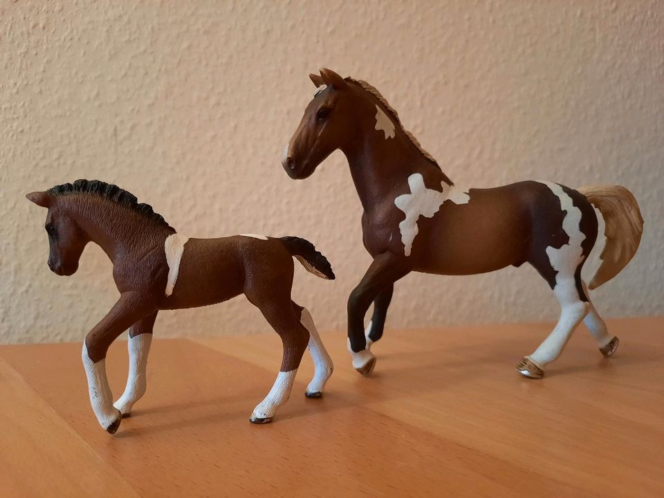 Schleich Trakener Set, Pinto  - Hengst 13756 - Fohlen 13758 in Albersdorf