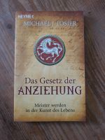 Das Gesetz der Anziehung | Michael J. Losier Baden-Württemberg - Rheinau Vorschau