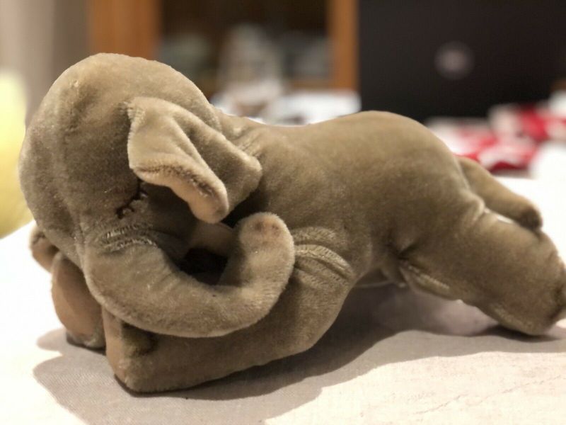 Steiff Elefant liegend in Hamburg-Nord - Hamburg Groß Borstel |  Kuscheltiere günstig kaufen, gebraucht oder neu | eBay Kleinanzeigen ist  jetzt Kleinanzeigen