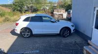 Audi Q5 2,0 TDI QUATTRO S Line Schlachtfest Nordrhein-Westfalen - Wickede (Ruhr) Vorschau