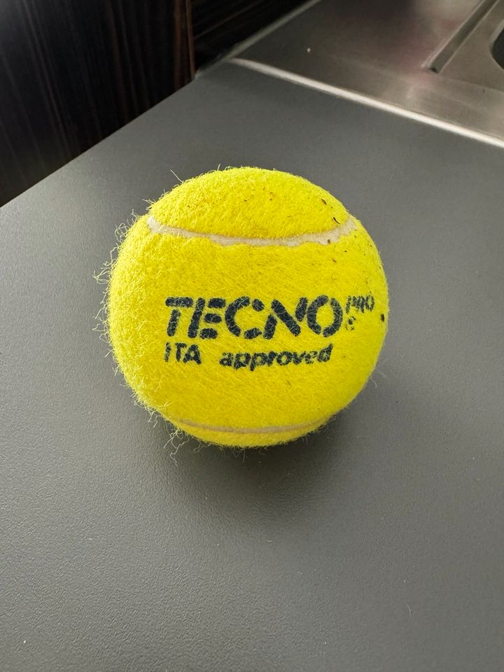 Tennisbälle - Dunlop & Tecno 10 Stk in Großenkneten