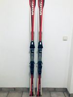 Ski Völkl P60 170cm + Bindung Nordrhein-Westfalen - Bad Wünnenberg Vorschau