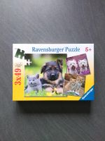 Ravensburger Puzzle 3x49 Teile Niedersachsen - Clenze Vorschau