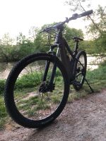 Pedelec/E-Bike Niedersachsen - Celle Vorschau