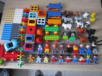 Lego Duplo Figuren Tiere Auto Fahrgestell Fenster Blumen usw Nordrhein-Westfalen - Iserlohn Vorschau