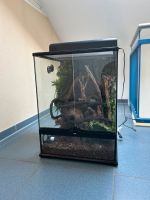 Exo Terra Glasterrarium 45x45x60 Mecklenburg-Vorpommern - Neubrandenburg Vorschau