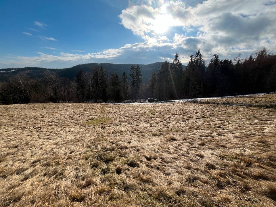 Baugrundstücke im Riesengebirge mit toller Aussicht in Berlin