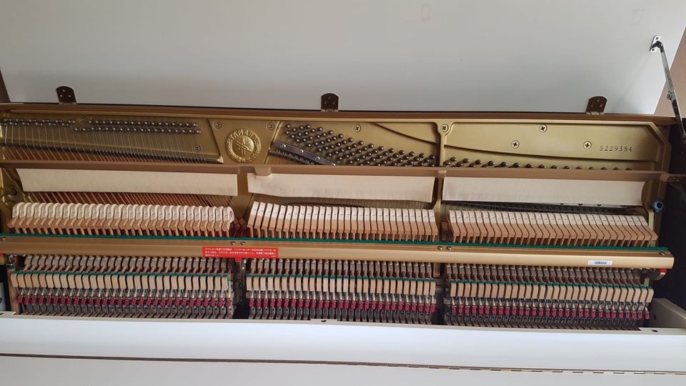 Yamaha Konzertklavier in Minden