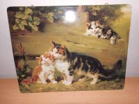 Porzellanbild Katzen Thüringen - Bad Berka Vorschau