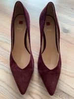 Damenschuhe Högl Gr.5 Dresden - Kleinzschachwitz Vorschau