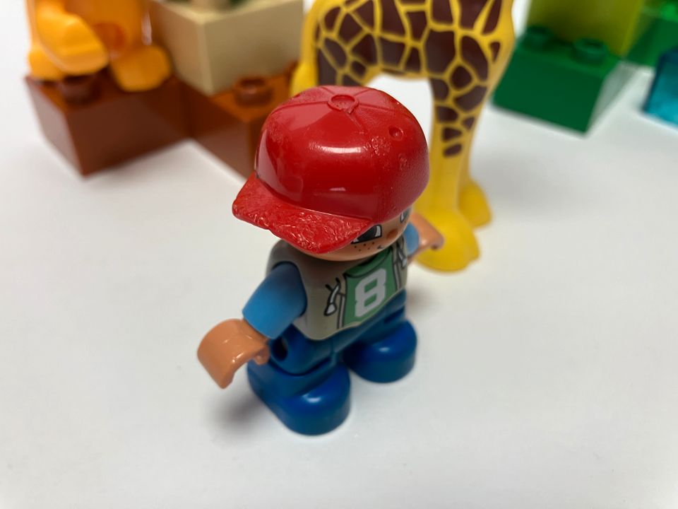 LEGO® DUPLO® Tierbabys Tiere Zoo 4962 in Langenzenn