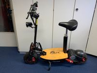 Elektroroller eFlux Freeride Elektro Roller E-Scooter Baden-Württemberg - Fellbach Vorschau