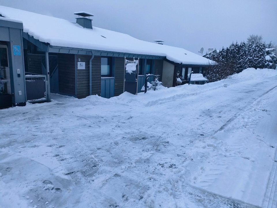 Hausmeisterservice,Gartenarbeit, Problembaumfällung, Winterdienst in Medebach