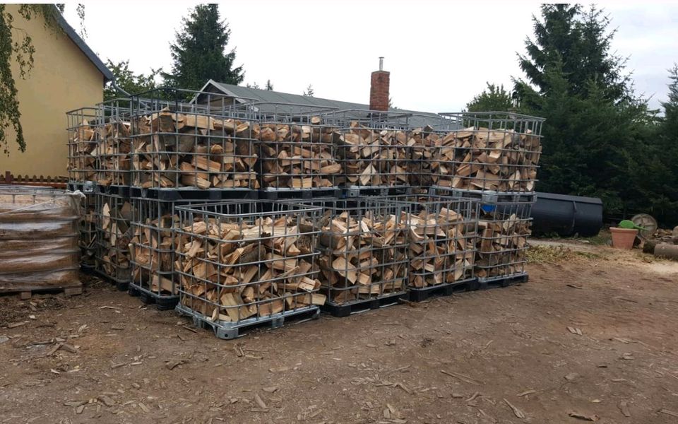 Brennholz Stammholz Hartholz Buche Esche Eiche inkl Lieferung MwS in Wernigerode