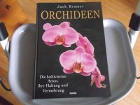 Orchideen Haltung und Vermehrung Bayern - Taufkirchen Vils Vorschau