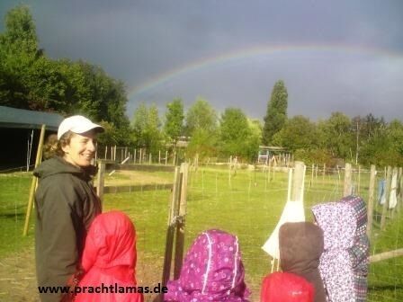 Kindergeburtstag mit Tieren (Lamas) im Ruhrgebiet feiern in Gelsenkirchen