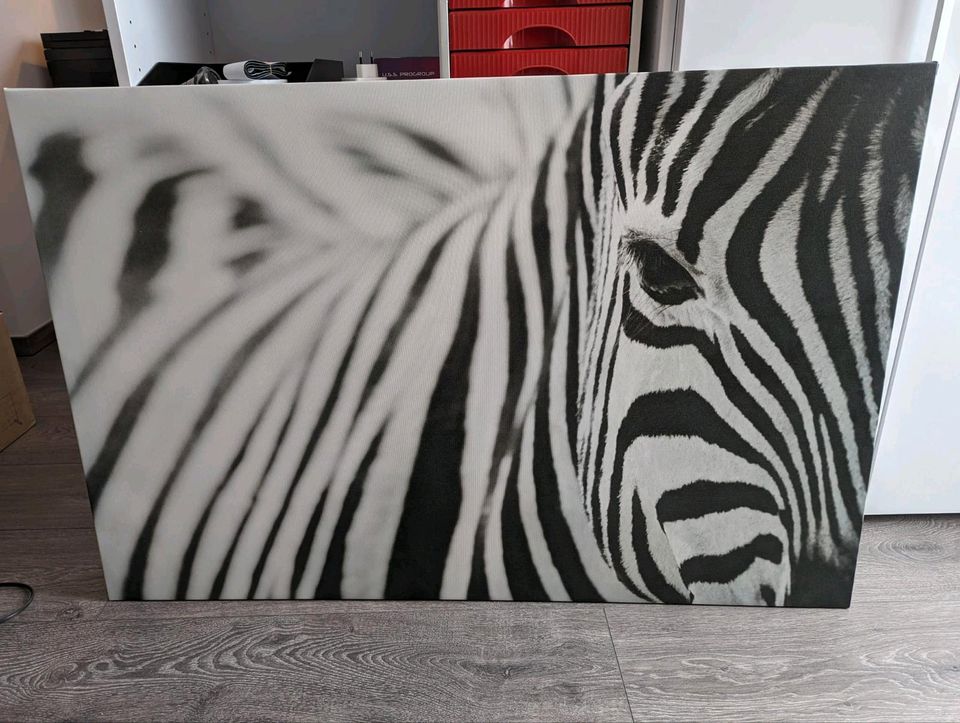 Wandbild Zebra Ikea in Weisenheim am Sand