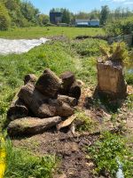 Weiden Holz zu verschenken Schleswig-Holstein - Brodersby bei Schleswig Vorschau