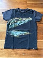 T-Shirt Fitz 128/134 Krokodil NEUWERTIG Bayern - Leiblfing Vorschau