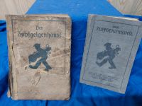 2  x Zupfgeigenhansel  1903 / 1923 Baden-Württemberg - Buchenbach Vorschau