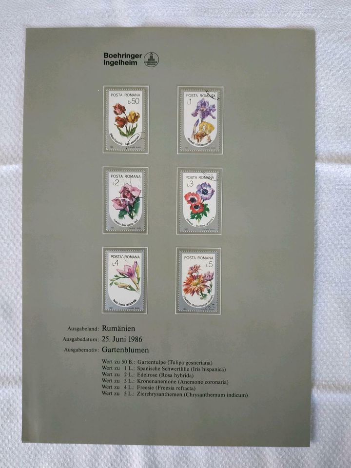 BRIEFMARKEN  - GARTENBLUMEN - RUMÄNIEN  1986  SELTEN in Sinzig