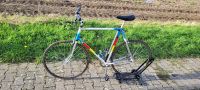 Romani Rennrad – Flat Bar – Daily Driver - Dortmund - Lichtendorf Vorschau