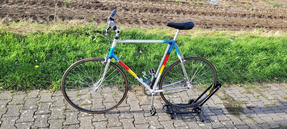 Romani Rennrad – Flat Bar – Daily Driver - in Dortmund