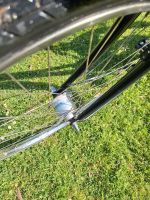 Fahrrad hollandrad Marke Panther in gutem Zustand Wandsbek - Hamburg Eilbek Vorschau