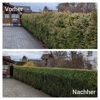 Gartenpflege und Zaunbau Rheinland-Pfalz - Waldbreitbach Vorschau