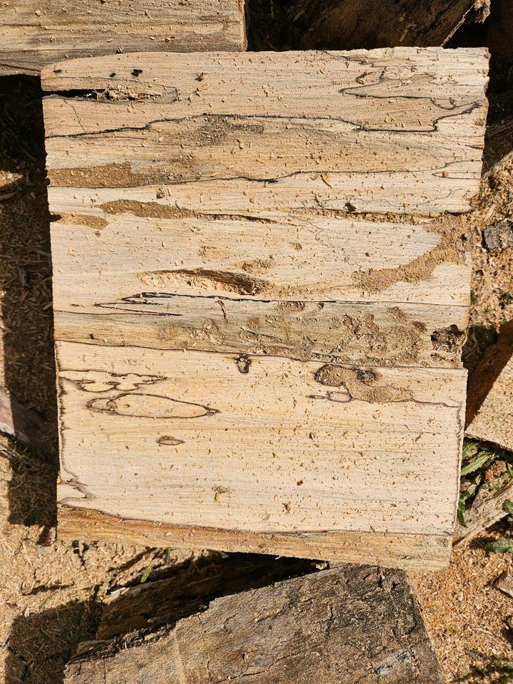 Drechselholz Holz zum Basteln Buche in Grenzach-Wyhlen