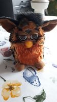 Hasbro Tiger Furby 1998 Sachsen-Anhalt - Salzwedel Vorschau