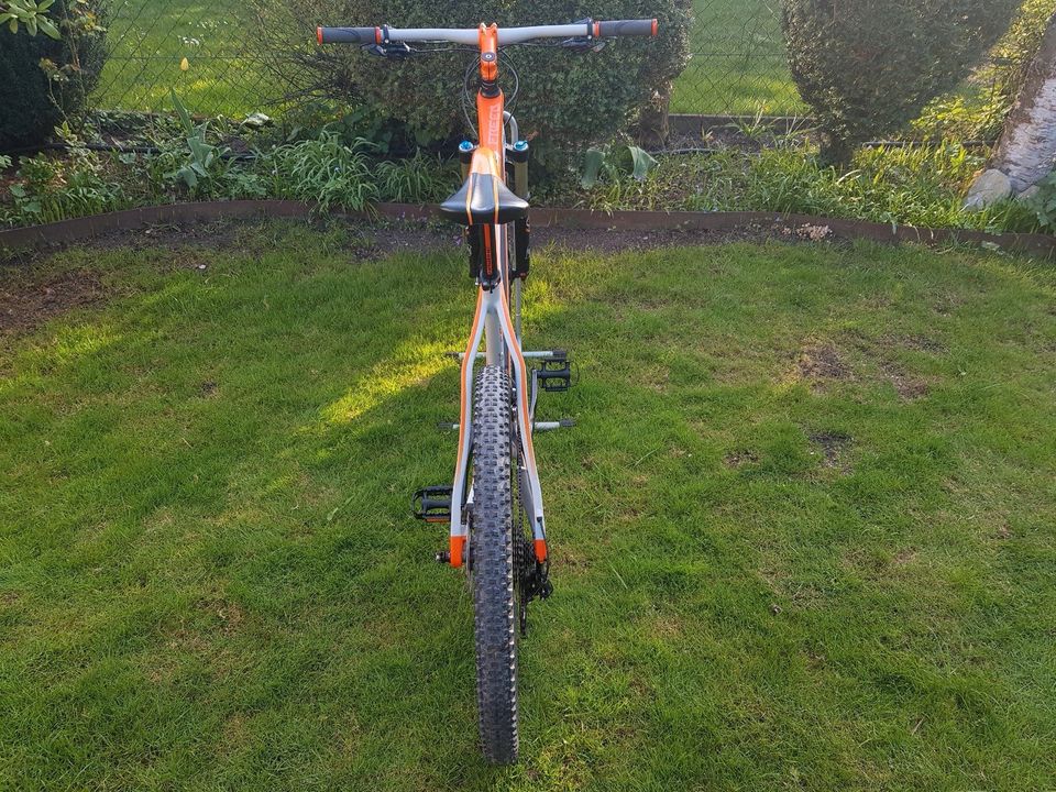 Haibike Freed 7.55 Carbon 27.5 Zoll Größe 50 in Olching