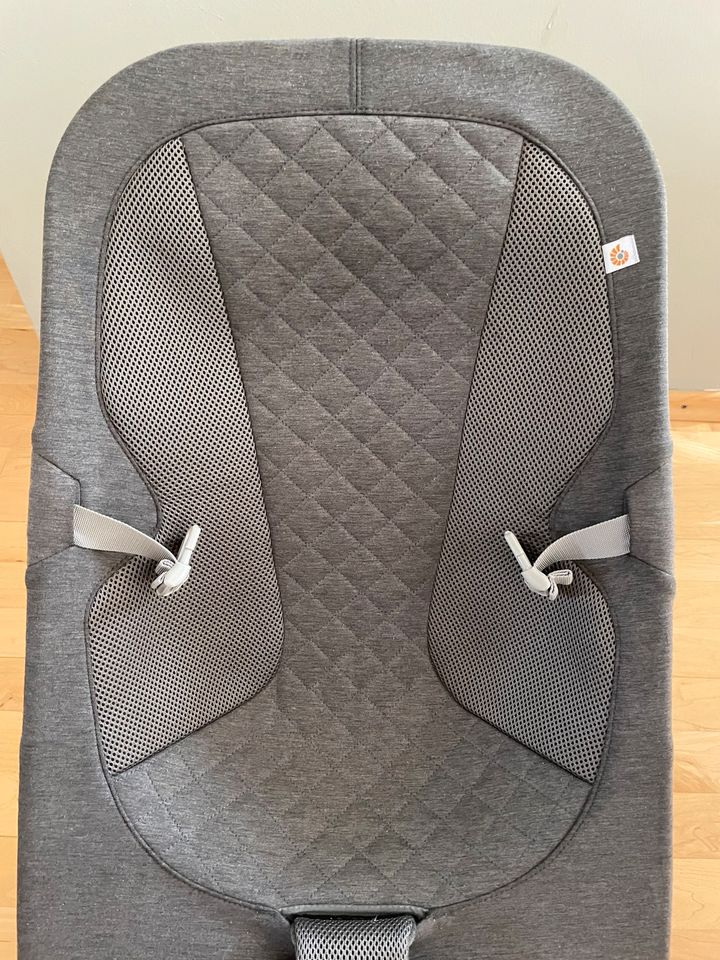 Ergobaby 3-In-1 Evolve Bouncer:  Baby Wippe in München