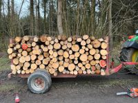 Kamin / Brennholz abgelagert ofenfertig Rheinland-Pfalz - Raubach (Westerw.) Vorschau