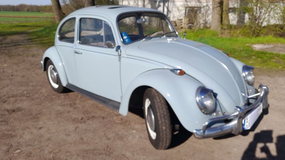 Volkswagen Käfer 1300 Zenitblau Bj.1967 in Braunschweig